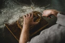 Fiskars Norden Bread Knife -Kitchen Utensils Shop Fiskars Action Norden Bread knife slicing bread 1026421