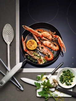 Fiskars Rotisser NOH Frying Pan 24 Cm -Kitchen Utensils Shop Hackman Rotisser NOH CMYK Coated JPG